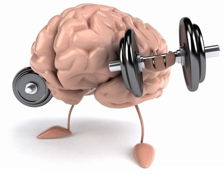 Healthy Brain